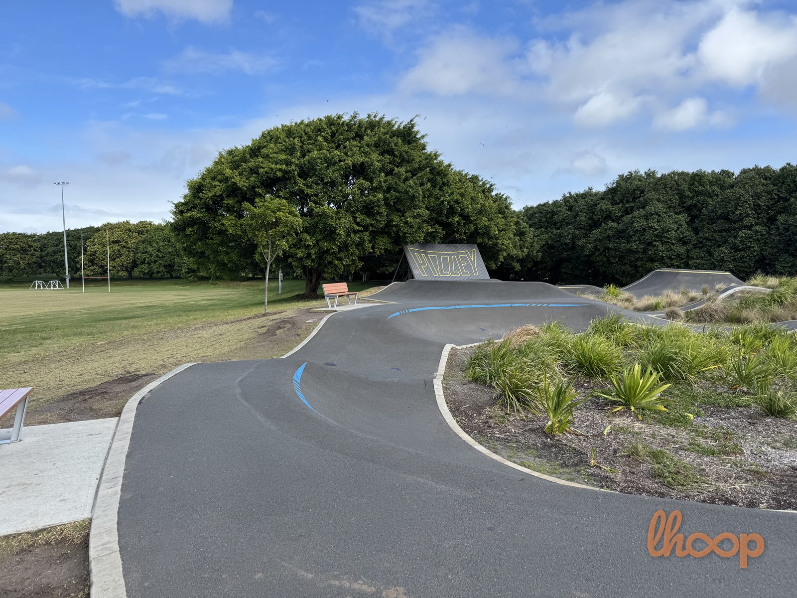 The PIZZEY branded wall ride and a banked berm marked with a blue line, with a sports field beyond.